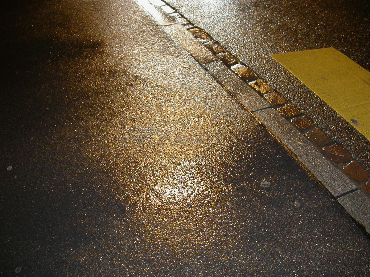 DSCN0061.JPG