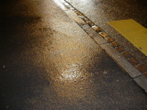 DSCN0061.JPG