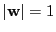 $ \vert{\bf
w}\vert =1$