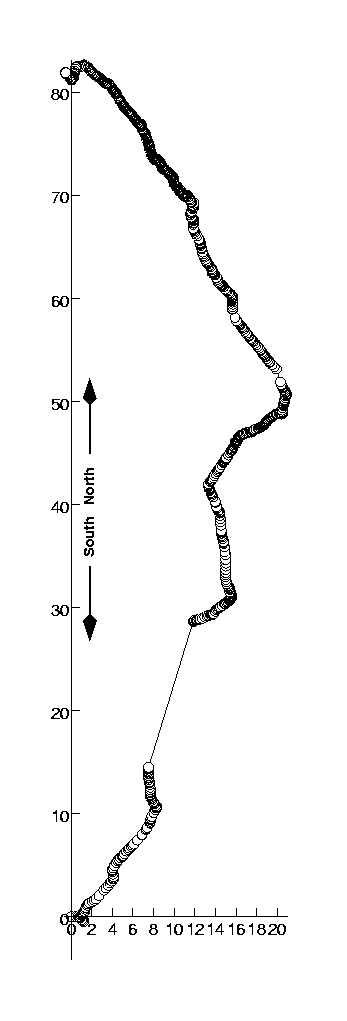 Two dimensional path