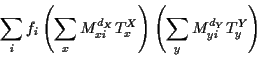 \begin{displaymath}\sum_i f_i
\left ( \sum_x M^{d_X}_{x i} T^X_{x} \right )
\left ( \sum_y M^{d_Y}_{y i} T^Y_{y} \right )
\end{displaymath}